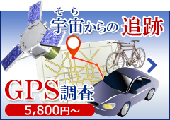 GPSレンタル調査