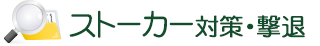 Xg[J[΍E